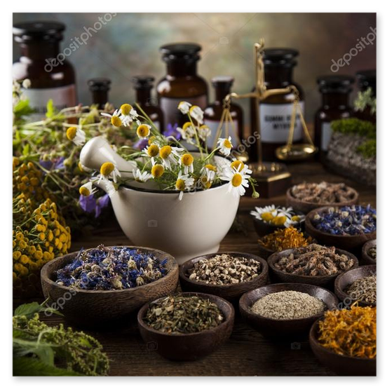 Lavendel und Kräuter in Nahaufnahme