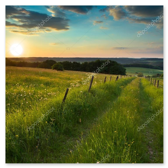 Morgenstimmung in der Eifel